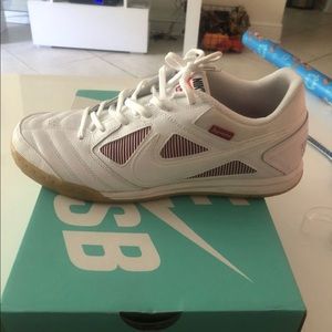 Nike/supreme SB gato’s